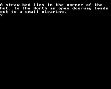 Four Wands, The (1988)(Gore, D.)[h TSTH] screen shot game playing